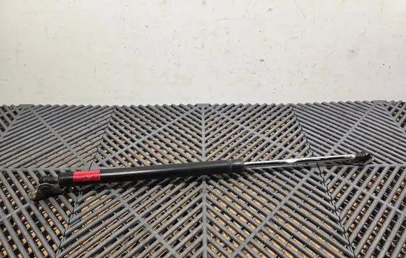 Lexus RX 330 - 350 - 400H Tailgate strut 