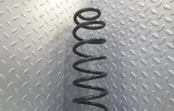 Rear coil spring