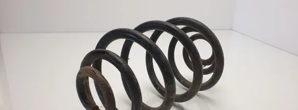 Renault Scenic I Rear coil spring