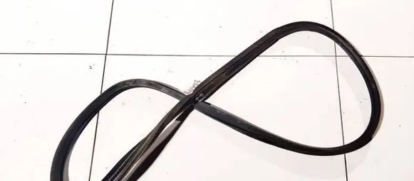 Nissan Quest Rubber seal rear door 