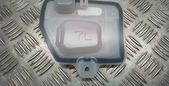 Other front door trim element