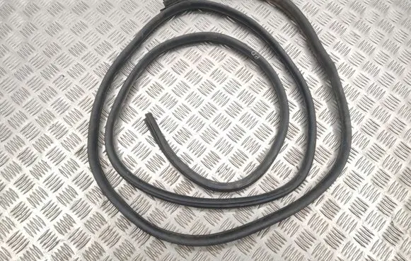 Opel Vivaro Front door rubber seal 