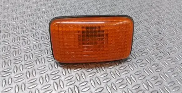 Front fender indicator light