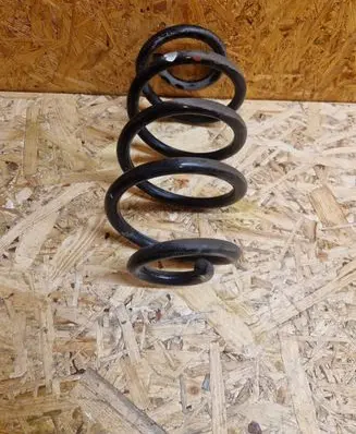Rear coil spring