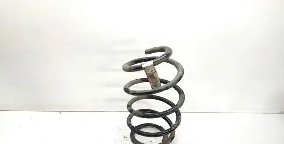 Front coil spring