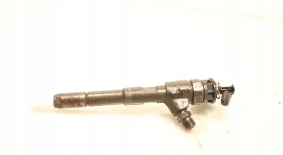 Renault Kangoo II Fuel injector 0445110652