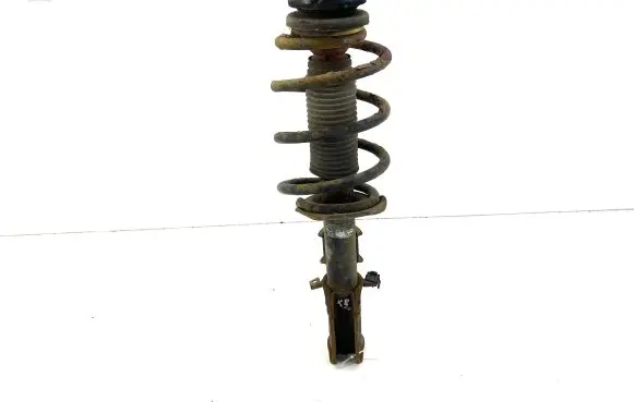 Mercedes-Benz Vito Viano W639 Front shock absorber with coil spring A6393201813