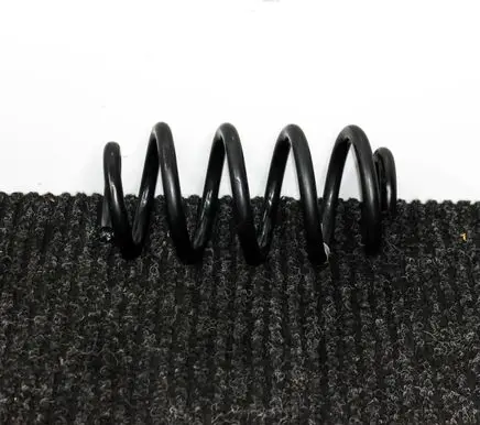 Rear coil spring