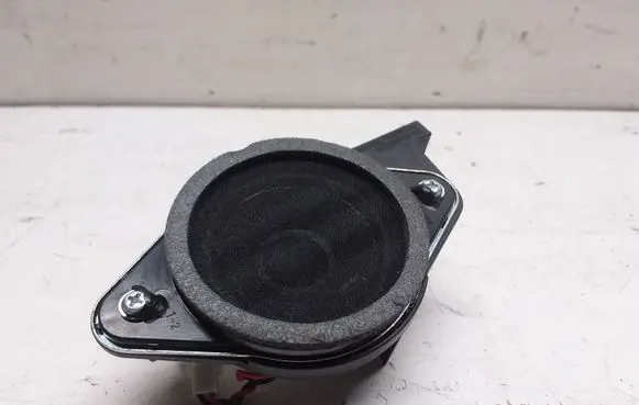 Panel speaker