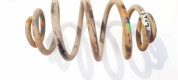 Rear coil spring