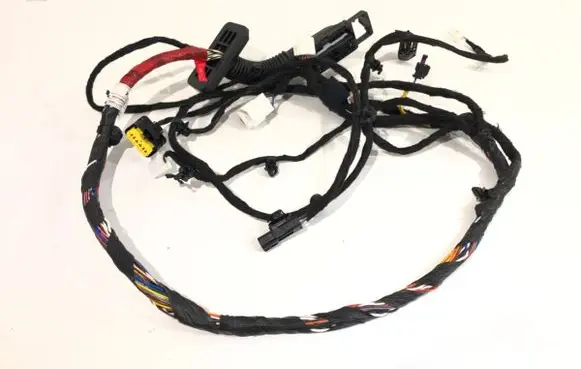 Front door wiring loom