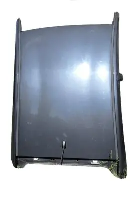 Toyota Prius (XW30) Roof 