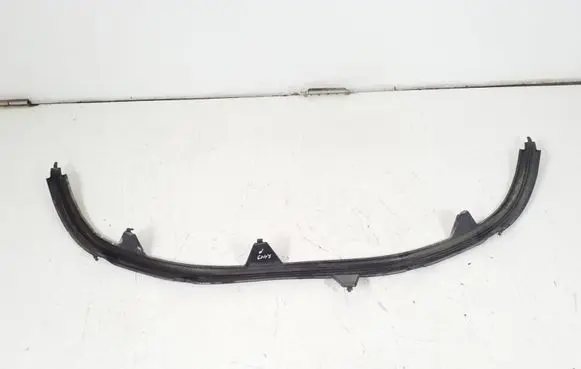 Engine bonnet/hood lock trim molding