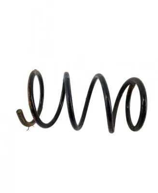 Front coil spring