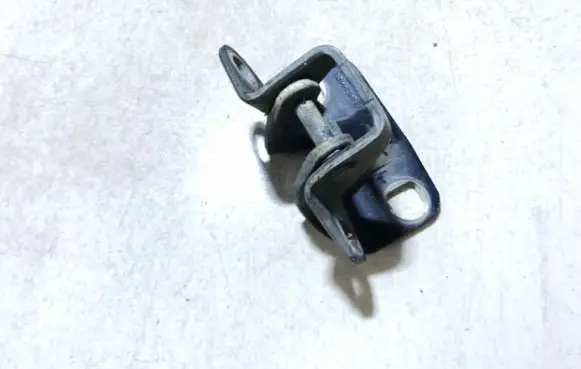 Chrysler 300M Rear door lower hinge
