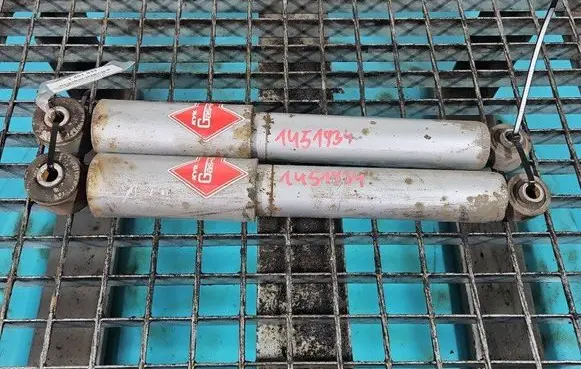 Hyundai Elantra Rear shock absorber/damper IMPRK1451934