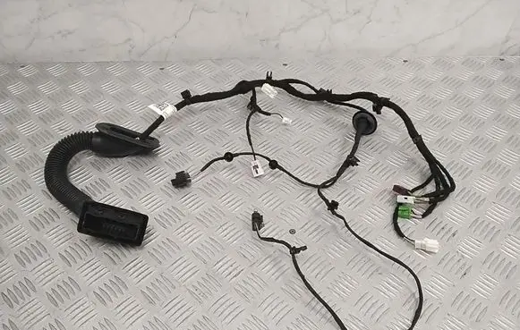 Other wiring loom