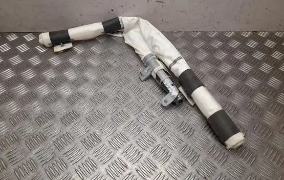 Tesla Model X Roof airbag 103676000H