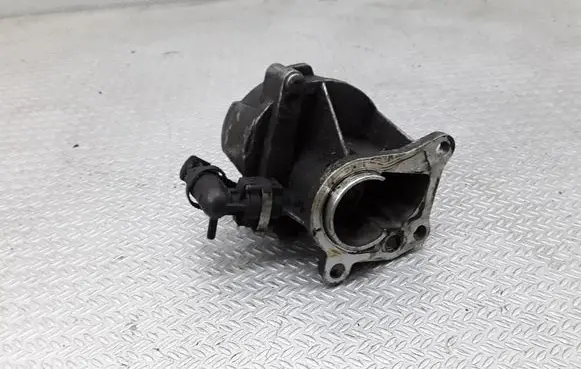 Renault Espace - Grand espace IV Vacuum pump 163354368