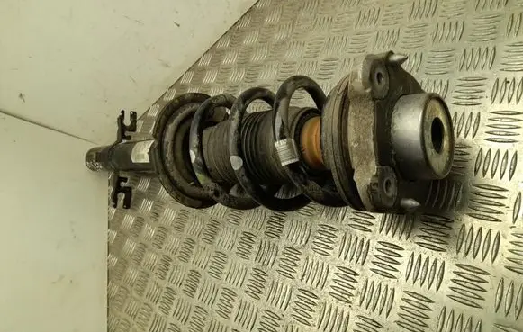 Citroen Jumper Front shock absorber with coil spring 50707867