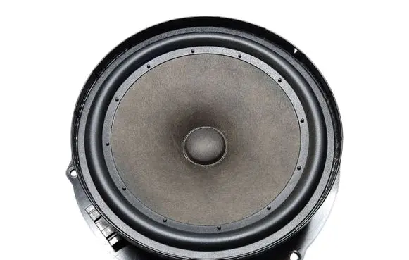 Volkswagen Jetta V Front door speaker 1K0035454P 900475460011