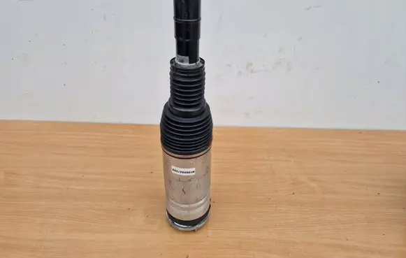 Land Rover Range Rover Sport L494 Rear shock absorber with coil spring DPLA3C286AGOE