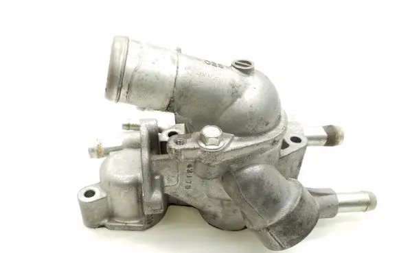 Thermostat/thermostat housing