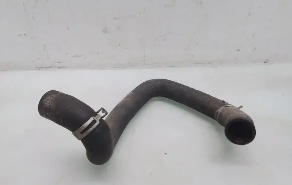 Citroen Berlingo Engine coolant pipe/hose