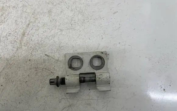 Rear door lower hinge