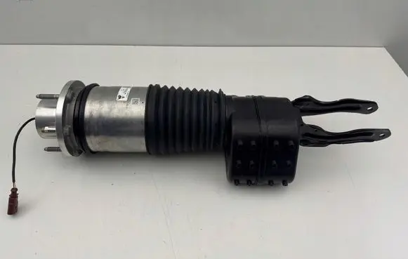 Porsche Taycan 9J1 Front shock absorber/damper 9J1616037D