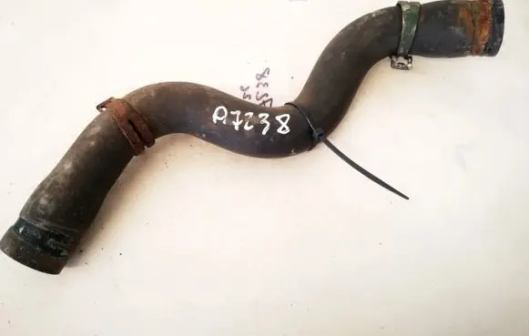Renault Scenic I Engine coolant pipe/hose