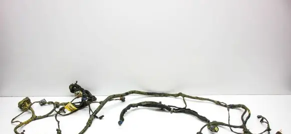 Other wiring loom