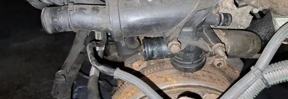 Peugeot Expert Engine coolant pipe/hose 