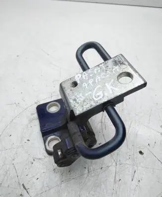 Rear door lower hinge