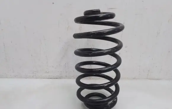 Rear coil spring