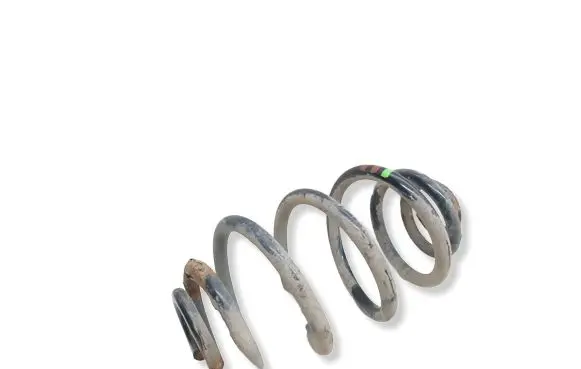 Skoda Superb B5 (3U) Rear coil spring 