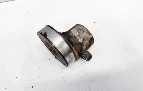 Suzuki Grand Vitara II Generator/alternator belt tensioner