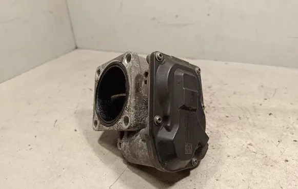 KIA Sorento Throttle valve 351002F100