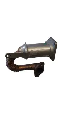 Dacia Sandero EGR valve cooler NOCODE