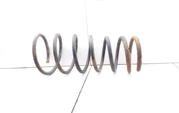Rear coil spring
