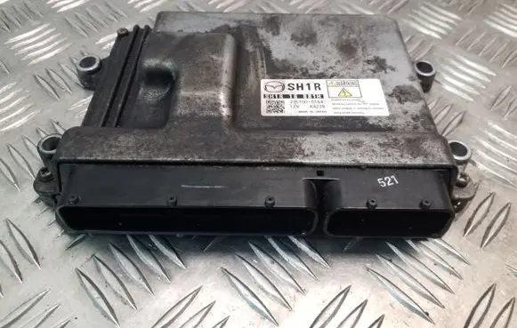 Engine control unit/module