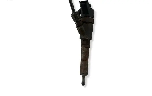 Citroen C4 I Picasso Fuel injector 0445110076 GF35