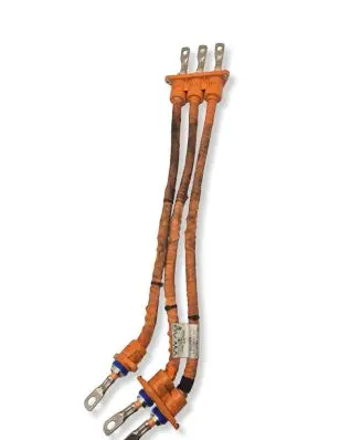 Volkswagen Golf VIII Other wiring loom 3Q0971013D