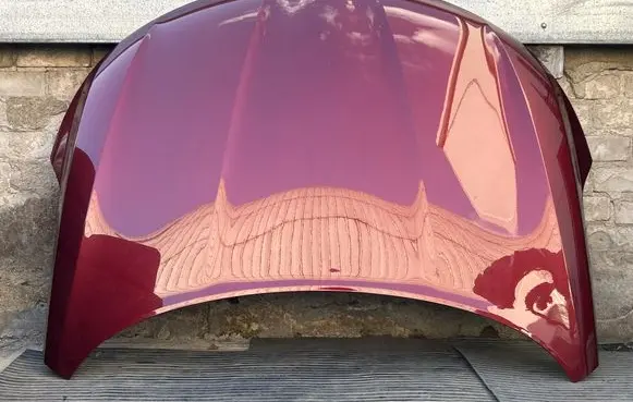 Engine bonnet/hood