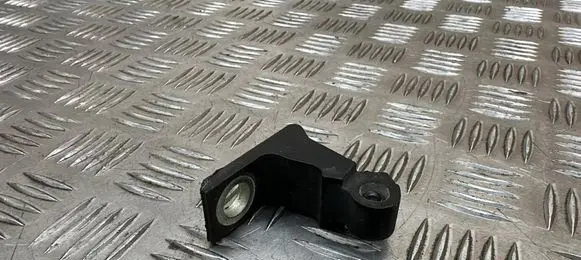 Skoda Octavia Mk3 (5E) Front door lower hinge 