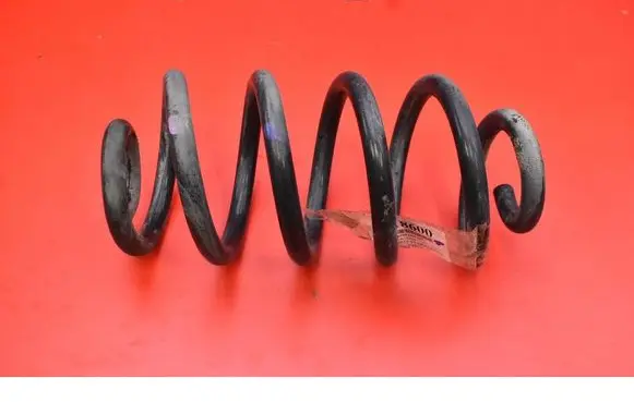 Rear coil spring