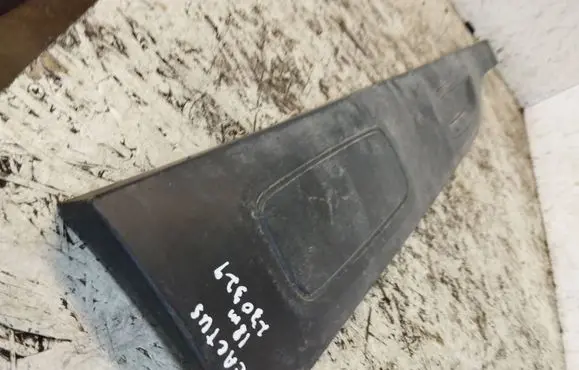 Citroen C4 Cactus Front door trim (molding) 9823415677