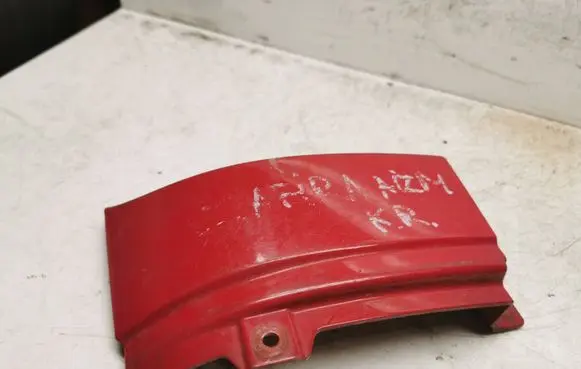 Rear/tail light trim molding