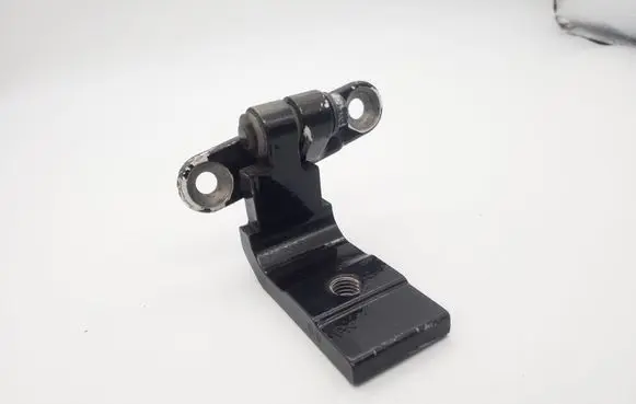Rear door lower hinge