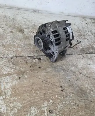 Skoda Roomster (5J) Generator/alternator P0616579 181009 10019